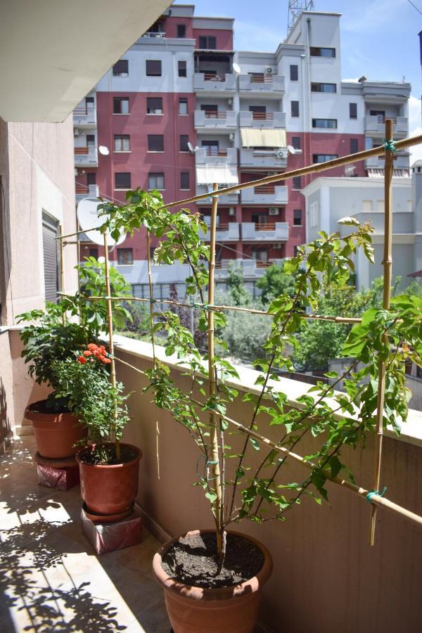שקודר New Apartment Zoe מראה חיצוני תמונה